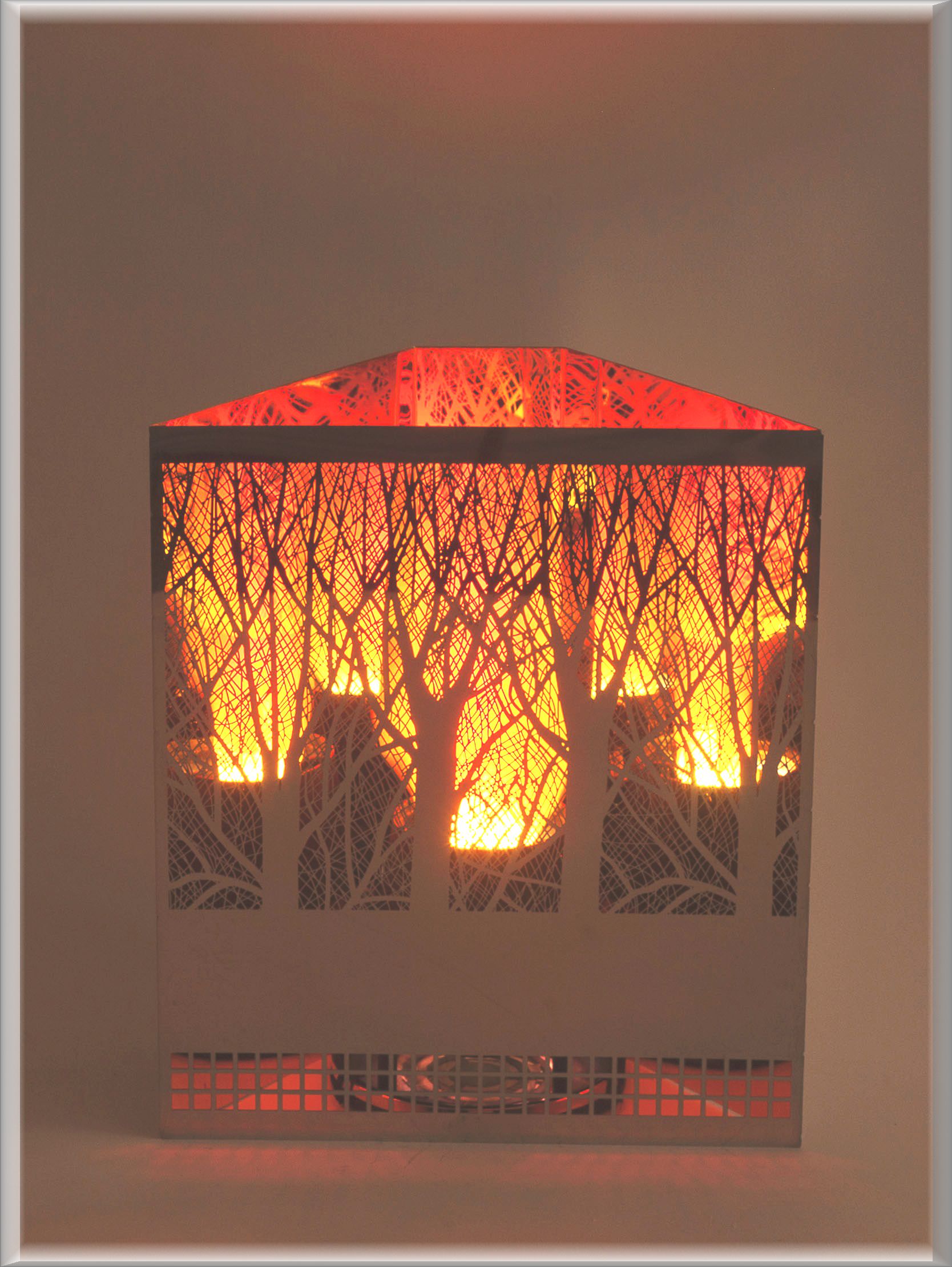 Fireboxes at Luxa Flame Lighting