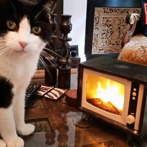 Retro TV Fire (click to enlarge)