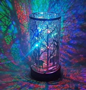 Winter Twinkler (click to enlarge)